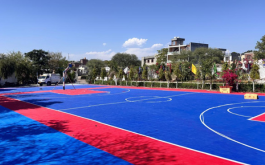 Basketball Court
