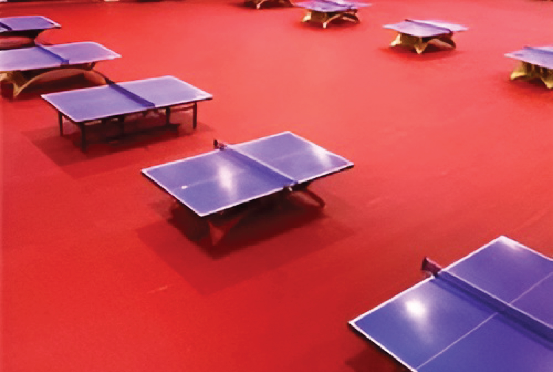 TT Flooring ( IITF Approved )